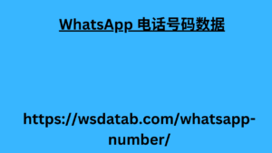 WhatsApp 电话号码数据