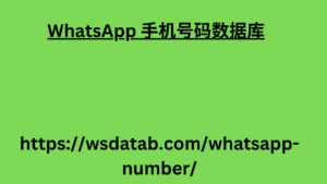 WhatsApp 手机号码数据库