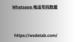 Whatsapp 电话号码数据